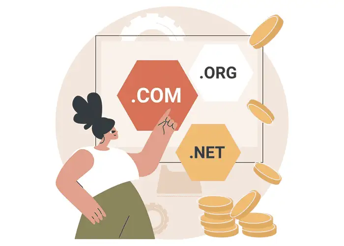 School domain registration and web address setup icon