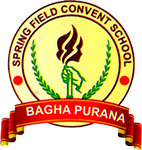 Spring Field Convent School