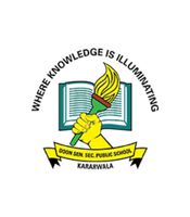 Doon Senior Secondary Public School logo