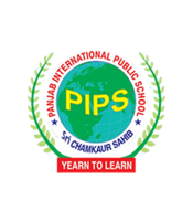 Panjab International Public School